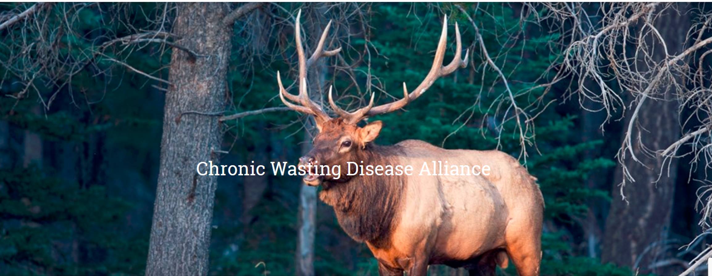 CWD Alliance